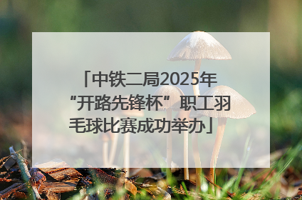 中铁二局2025年“开路先锋杯”职工羽毛球比赛成功举办