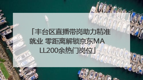 丰台区直播带岗助力精准就业 零距离解锁京东MALL200余热门岗位
