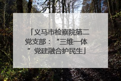义马市检察院第二党支部：“三维一体”党建融合护民生