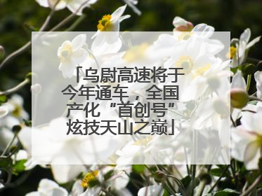 乌尉高速将于今年通车，全国产化“首创号”炫技天山之巅