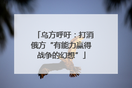 乌方呼吁：打消俄方“有能力赢得战争的幻想”