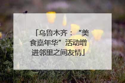 乌鲁木齐：“美食嘉年华”活动增进邻里之间友情