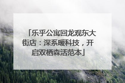 乐乎公寓回龙观东大街店：深系暖科技，开启双栖森活范本