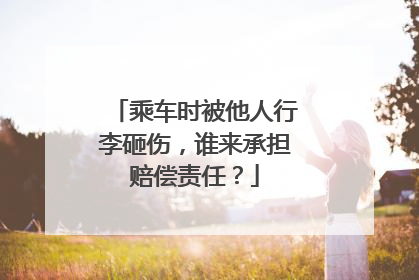 乘车时被他人行李砸伤，谁来承担赔偿责任？