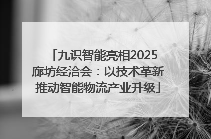 九识智能亮相2025廊坊经洽会：以技术革新推动智能物流产业升级