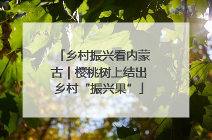 乡村振兴看内蒙古｜樱桃树上结出乡村“振兴果”