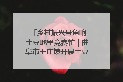 乡村振兴号角响 土豆地里竞赛忙｜曲阜市王庄镇开展土豆收获劳动竞赛