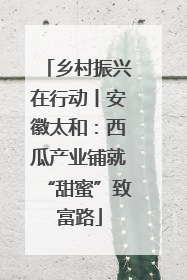 乡村振兴在行动丨安徽太和：西瓜产业铺就“甜蜜”致富路