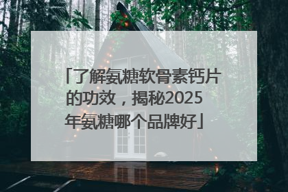 了解氨糖软骨素钙片的功效，揭秘2025年氨糖哪个品牌好