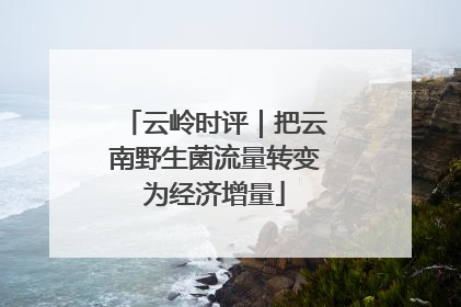 云岭时评｜把云南野生菌流量转变为经济增量