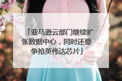 亚马逊云部门继续扩张数据中心，同时还要争抢英伟达芯片