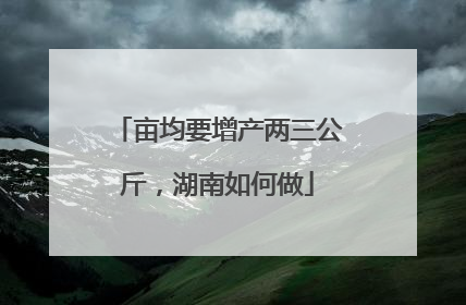亩均要增产两三公斤，湖南如何做