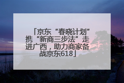 京东“春晓计划”携“新商三步法”走进广西，助力商家备战京东618