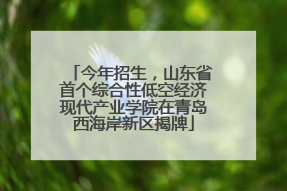 今年招生，山东省首个综合性低空经济现代产业学院在青岛西海岸新区揭牌