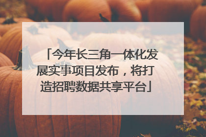 今年长三角一体化发展实事项目发布，将打造招聘数据共享平台