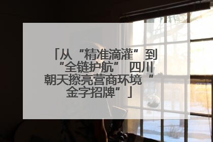 从“精准滴灌”到“全链护航” 四川朝天擦亮营商环境“金字招牌”