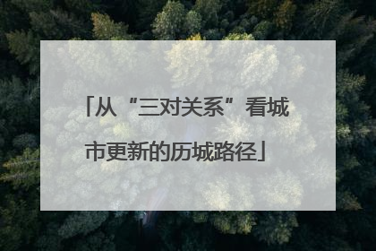 从“三对关系”看城市更新的历城路径