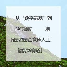从“数字筑基”到“AI领航”——湖南国资国企竞速人工智能新赛道