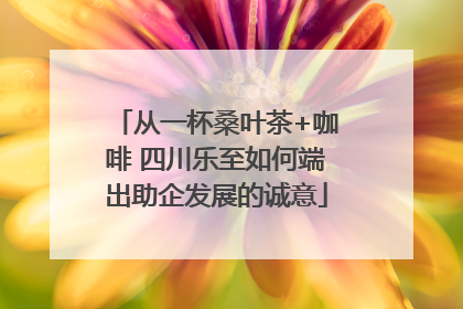 从一杯桑叶茶+咖啡 四川乐至如何端出助企发展的诚意