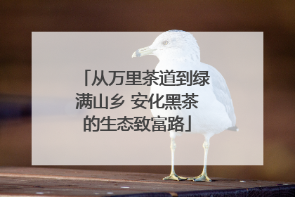 从万里茶道到绿满山乡 安化黑茶的生态致富路