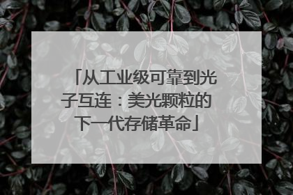 从工业级可靠到光子互连：美光颗粒的下一代存储革命