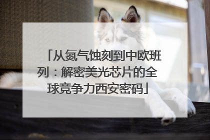 从氮气蚀刻到中欧班列：解密美光芯片的全球竞争力西安密码