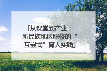 从课堂到产业：一所民族地区职校的“互嵌式”育人实践