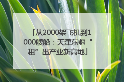 从2000架飞机到1000艘船：天津东疆“租”出产业新高地