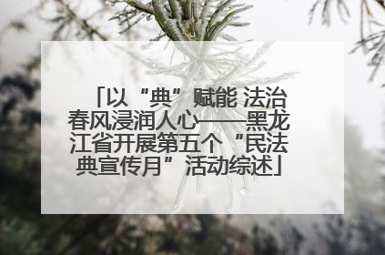 以“典”赋能 法治春风浸润人心——黑龙江省开展第五个“民法典宣传月”活动综述