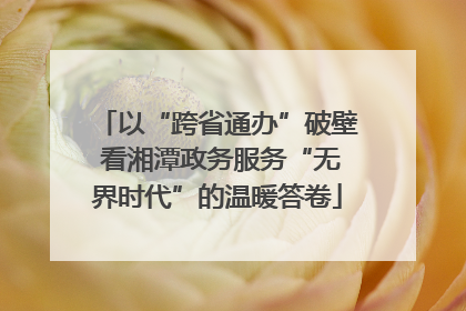 以“跨省通办”破壁 看湘潭政务服务“无界时代”的温暖答卷