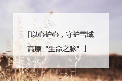 以心护心，守护雪域高原“生命之脉”