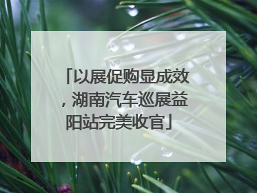 以展促购显成效，湖南汽车巡展益阳站完美收官