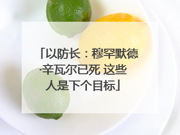 以防长：穆罕默德·辛瓦尔已死 这些人是下个目标