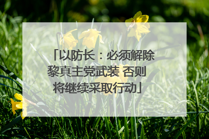 以防长：必须解除黎真主党武装 否则将继续采取行动