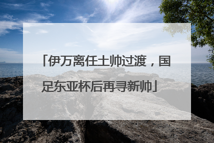 伊万离任土帅过渡，国足东亚杯后再寻新帅