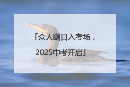众人瞩目入考场，2025中考开启
