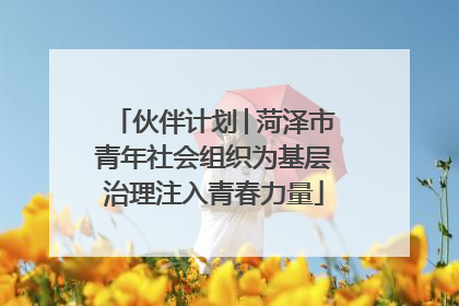 伙伴计划│菏泽市青年社会组织为基层治理注入青春力量