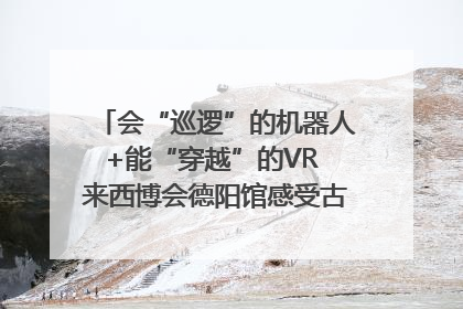 会“巡逻”的机器人+能“穿越”的VR 来西博会德阳馆感受古蜀文明与现代智造的时空对话｜西博视界