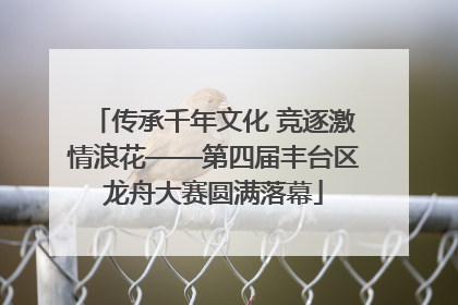 传承千年文化 竞逐激情浪花——第四届丰台区龙舟大赛圆满落幕