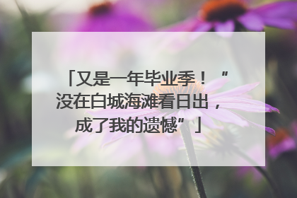 又是一年毕业季！“没在白城海滩看日出，成了我的遗憾”