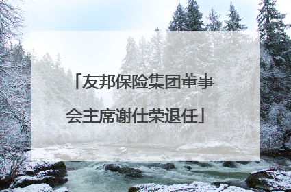友邦保险集团董事会主席谢仕荣退任