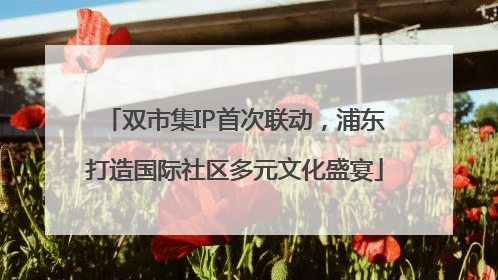 双市集IP首次联动，浦东打造国际社区多元文化盛宴