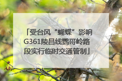受台风“蝴蝶”影响 G361陵昌线鹦哥岭路段实行临时交通管制