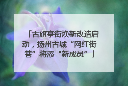 古旗亭街焕新改造启动，扬州古城“网红街巷”将添“新成员”