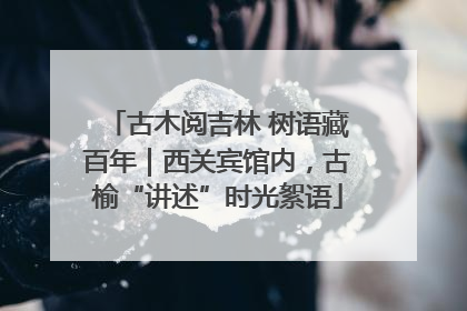 古木阅吉林 树语藏百年｜西关宾馆内，古榆“讲述”时光絮语