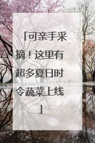 可亲手采摘！这里有超多夏日时令蔬菜上线