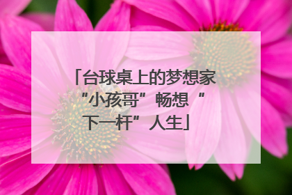 台球桌上的梦想家 “小孩哥”畅想“下一杆”人生