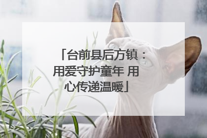 台前县后方镇：用爱守护童年 用心传递温暖