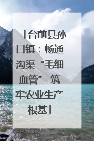 台前县孙口镇：畅通沟渠“毛细血管” 筑牢农业生产根基