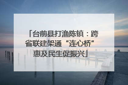 台前县打渔陈镇：跨省联建架通“连心桥” 惠及民生促振兴